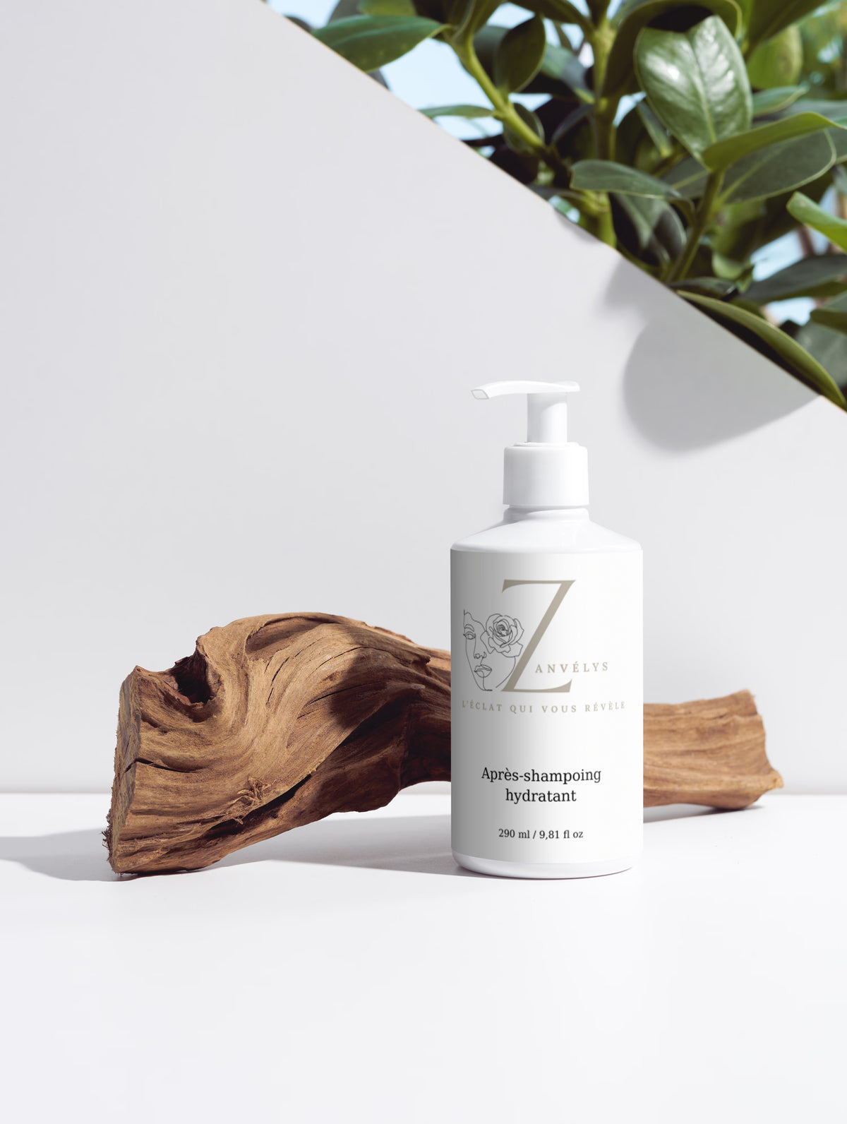 Duo Capillaire Réparation & Brillance | Zanvélys